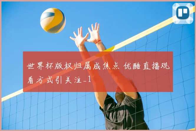 世界杯版权归属成焦点 优酷直播观看方式引关注_1