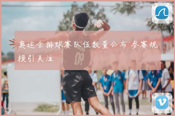 奥运会排球赛队伍数量公布 参赛规模引关注