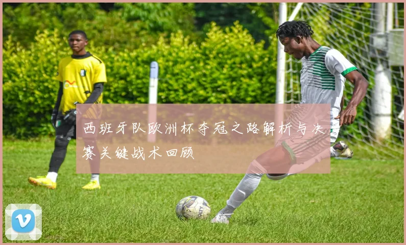 西班牙队欧洲杯夺冠之路解析与决赛关键战术回顾