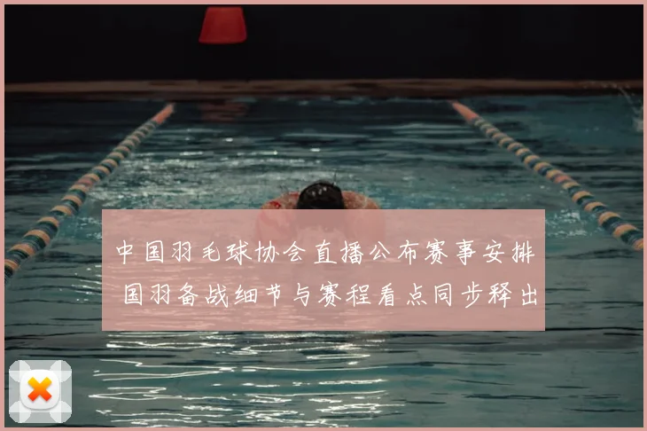 中国羽毛球协会直播公布赛事安排 国羽备战细节与赛程看点同步释出